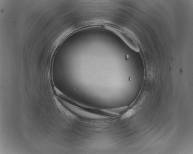 X0000073870946200608171004