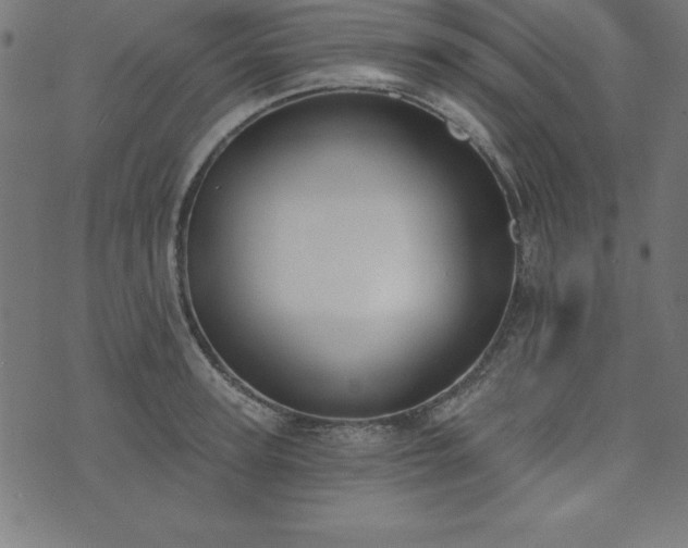 X0000073870947200608171004