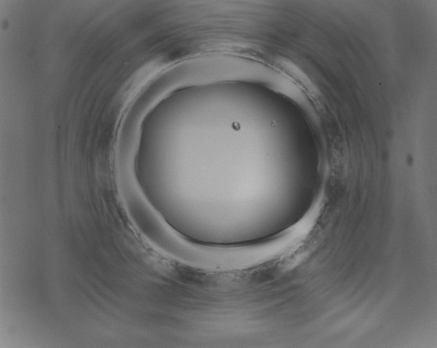 X0000073870948200608171004