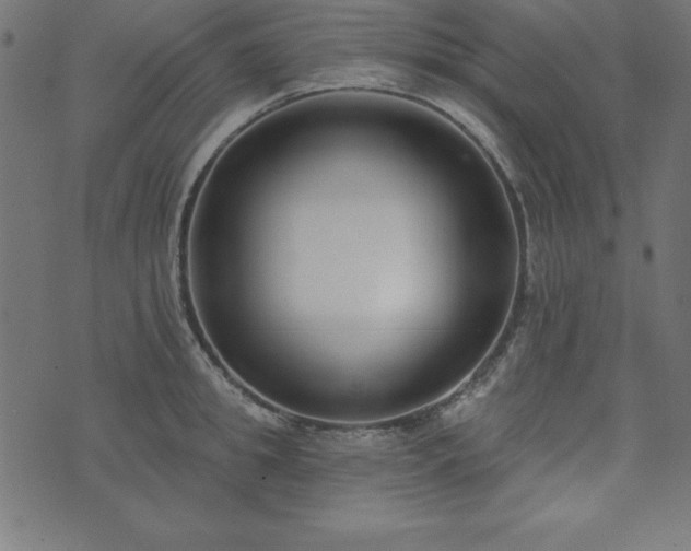 X0000073870949200608171004