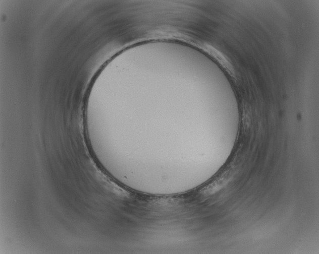 X0000073870950200608171004