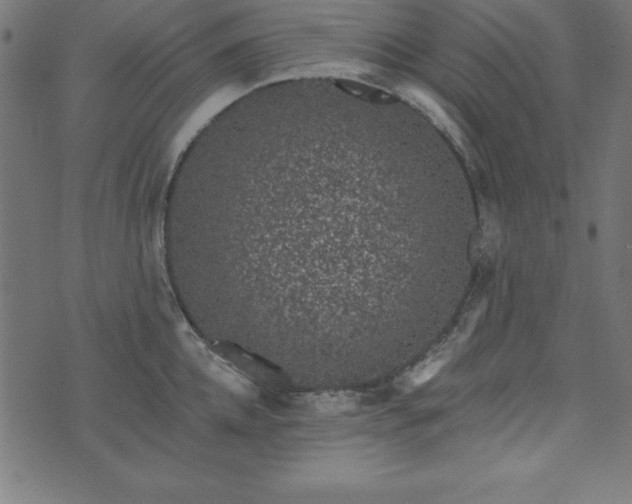 X0000073870952200608171004