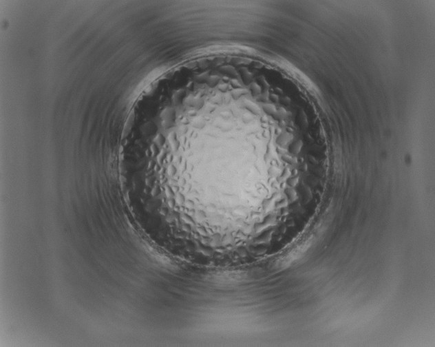 X0000073870953200608171004