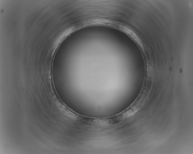 X0000073870954200608171004