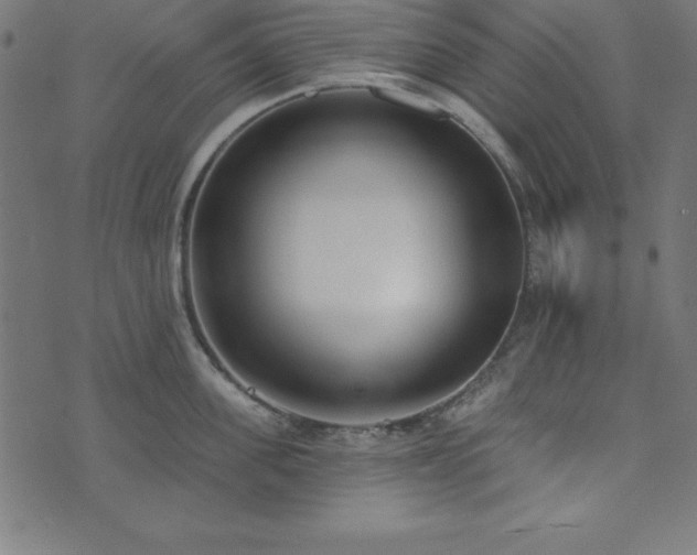 X0000073870955200608171004