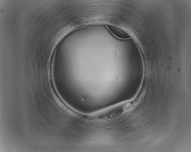 X0000073870957200608171004