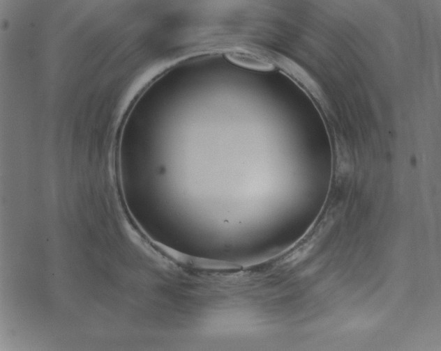 X0000073870958200608171004