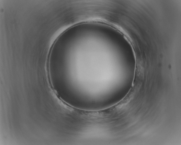 X0000073870959200608171004