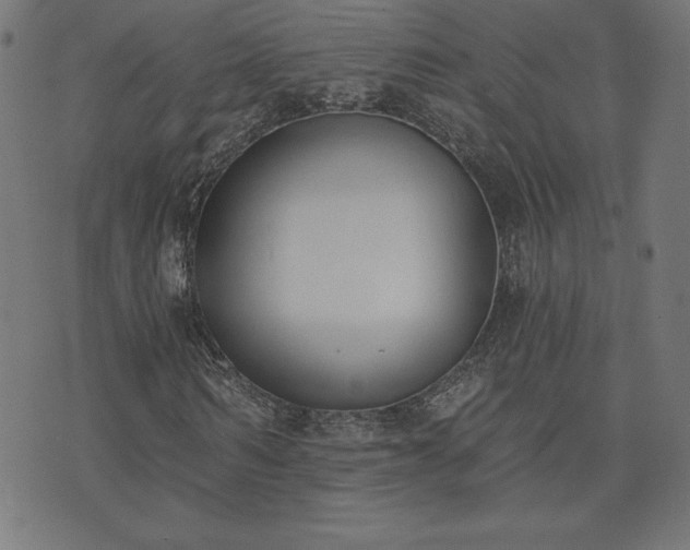 X0000073870962200608171003