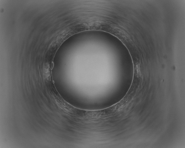 X0000073870963200608171003