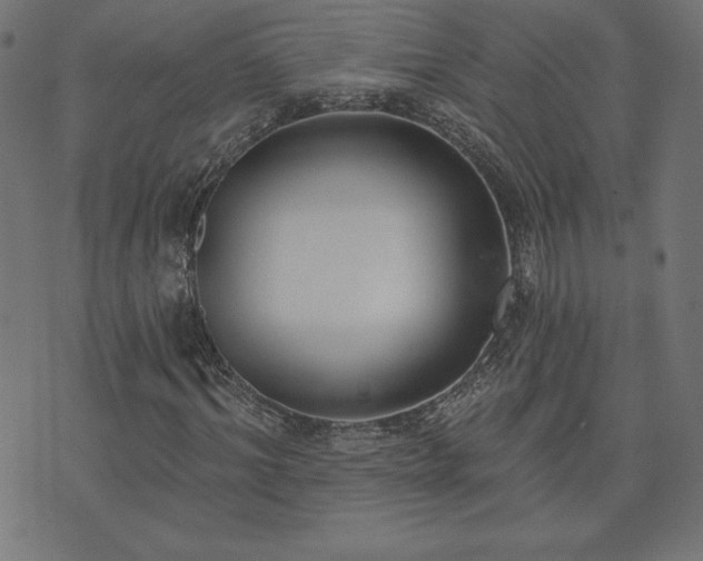 X0000073870964200608171003