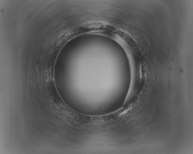 X0000073870965200608171003