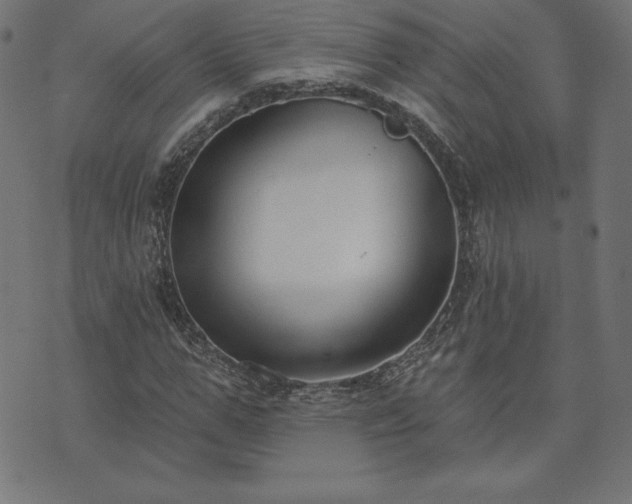 X0000073870967200608171003