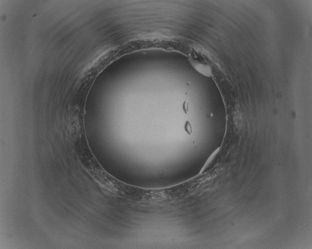 X0000073870968200608171003