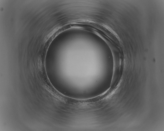 X0000073870969200608171003