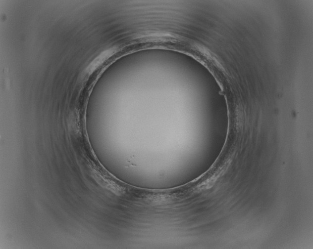 X0000073870970200608171003