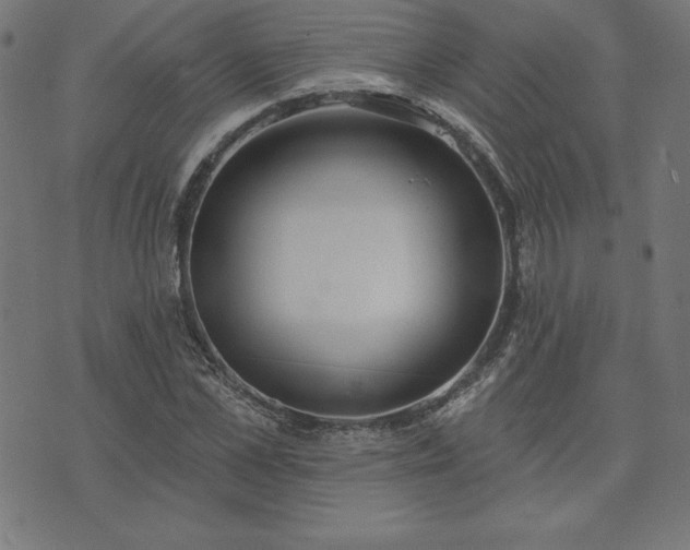 X0000073870973200608171003