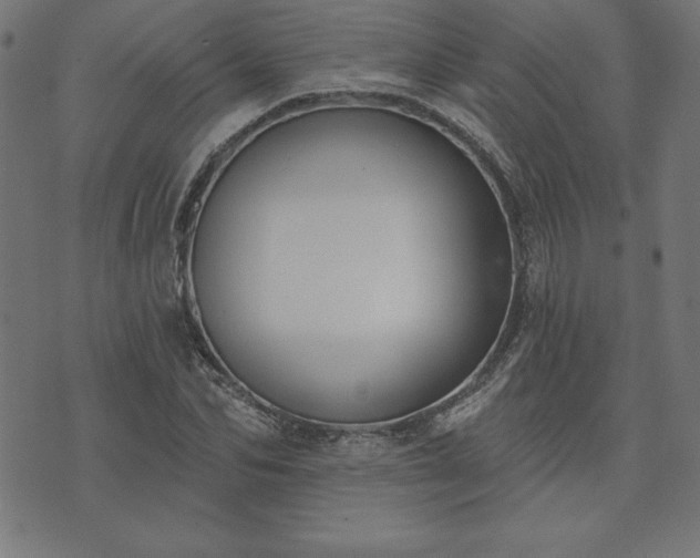 X0000073870974200608171003