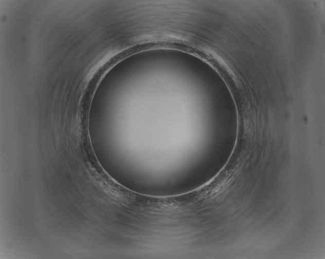 X0000073870975200608171003