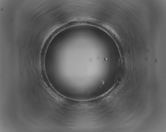 X0000073870976200608171003