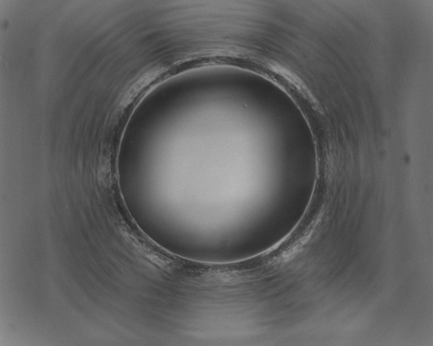 X0000073870977200608171003