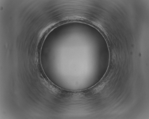 X0000073870979200608171003