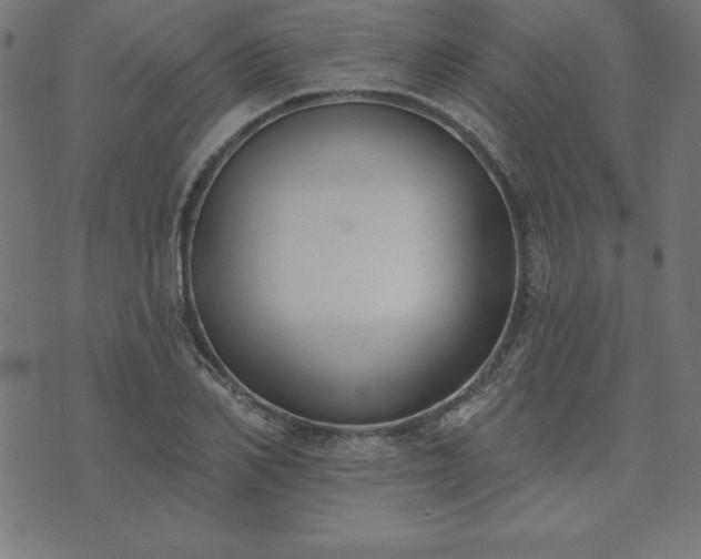 X0000073870982200608171003