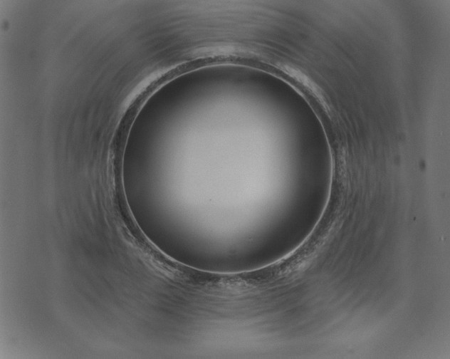 X0000073870983200608171003