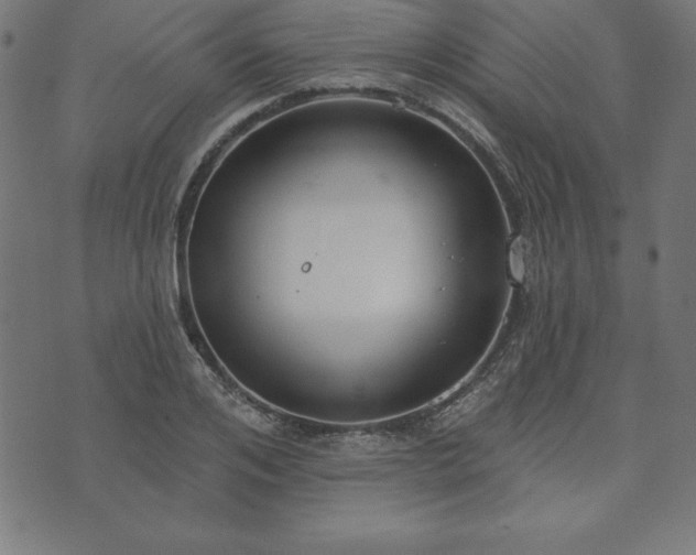 X0000073870984200608171003