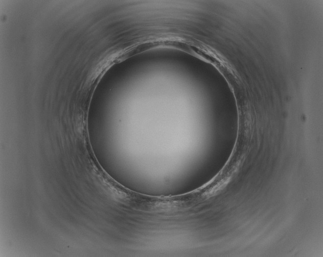 X0000073870985200608171003