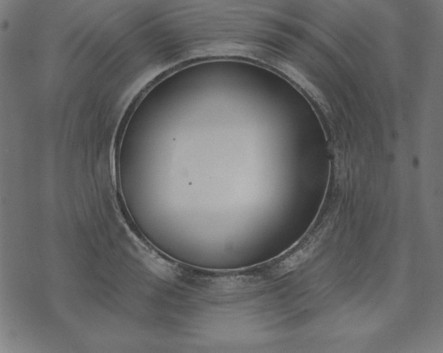 X0000073870988200608171003