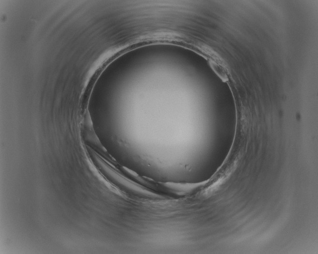 X0000073870989200608171003