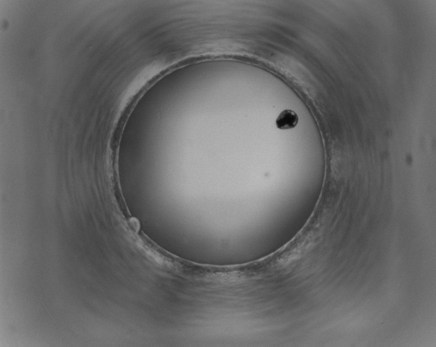 X0000073870990200608171003