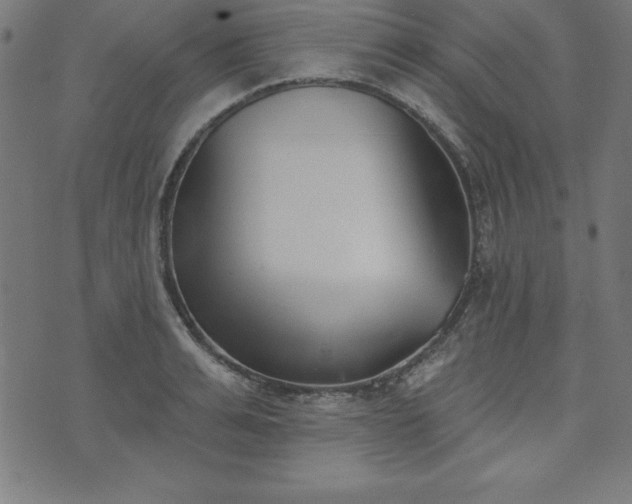 X0000073870991200608171003