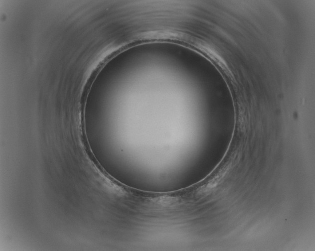 X0000073870992200608171003