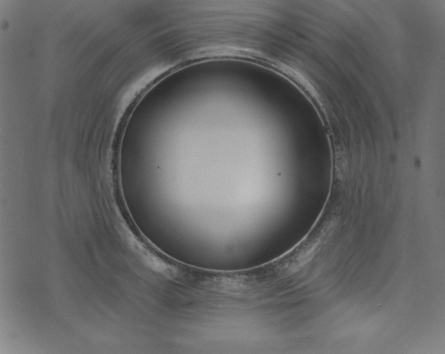 X0000073870995200608171003