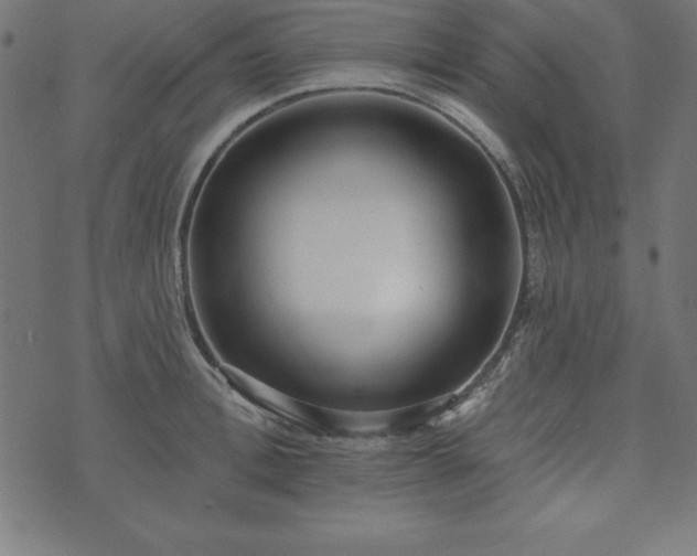 X0000073870996200608171003