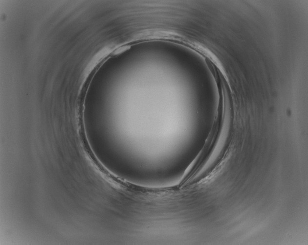 X0000073870997200608171003