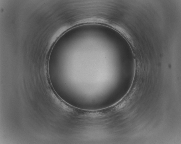 X0000073870998200608171003