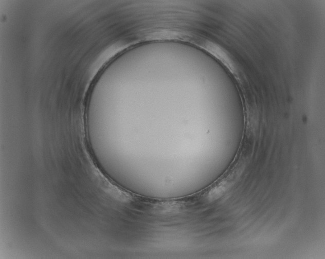 X0000073871000200608171003