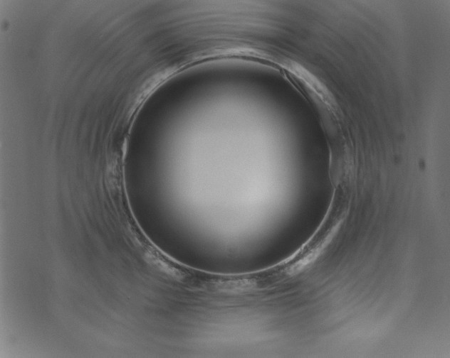 X0000073871001200608171003