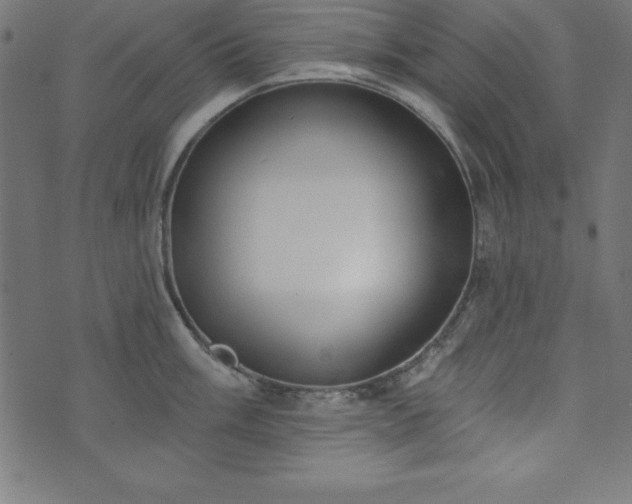 X0000073871003200608171003