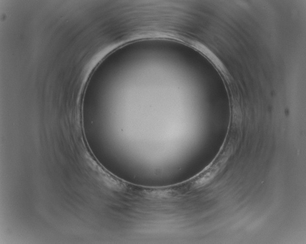 X0000073871004200608171003