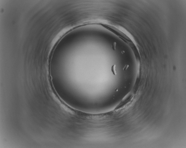 X0000073871005200608171003