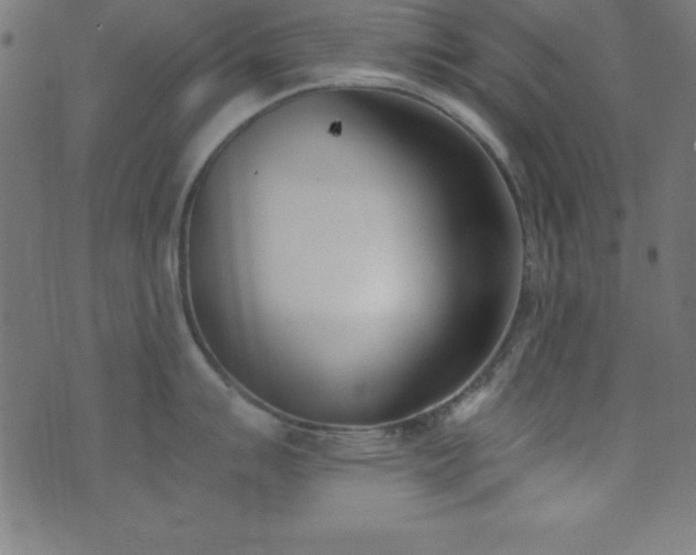 X0000073871007200608171003