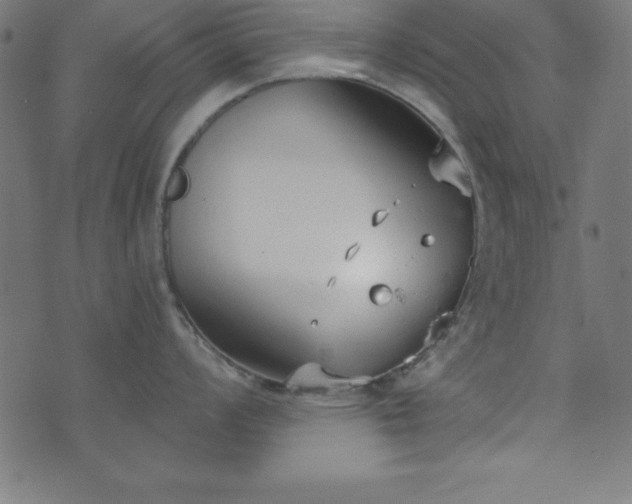 X0000073871008200608171003