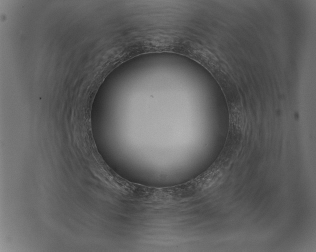 X0000073871009200608171002