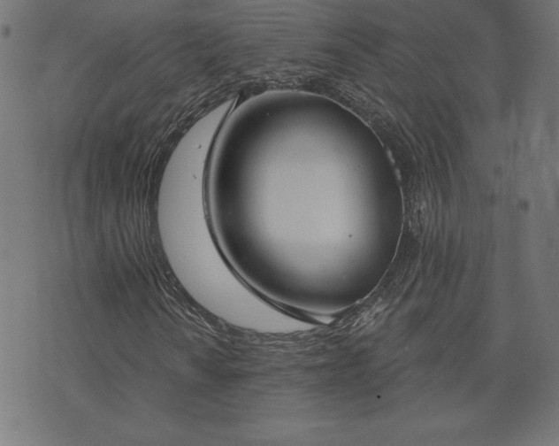 X0000073871010200608171002