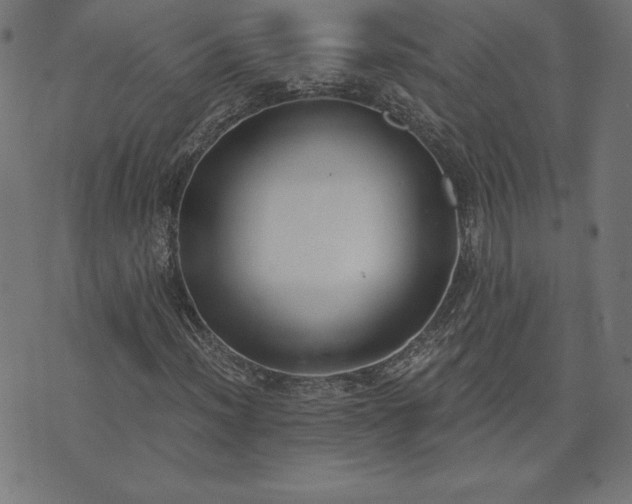 X0000073871012200608171002