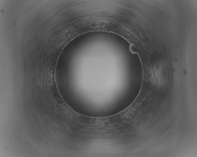 X0000073871013200608171002